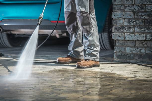 Best Dumpster Area Cleaning  in Lake St Croix Beach, MN
